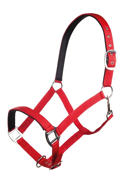 CAPEZZA SINTETICA ECON. CON OCCHIELLI Capezze Nylon 